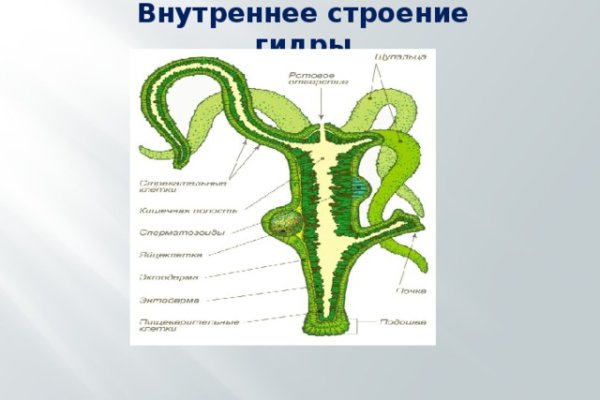 Почему кракен перестал работать